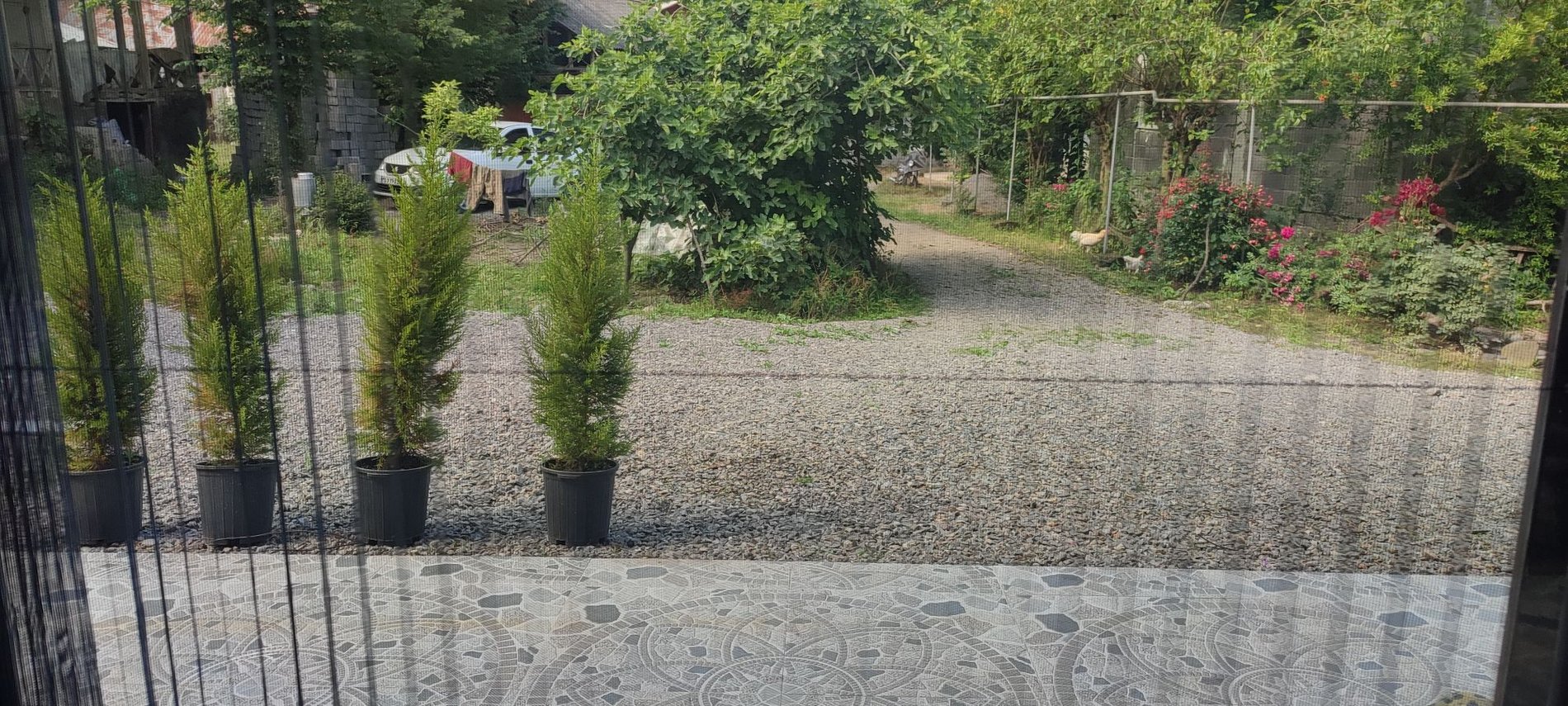 دوخوابه دامون 1