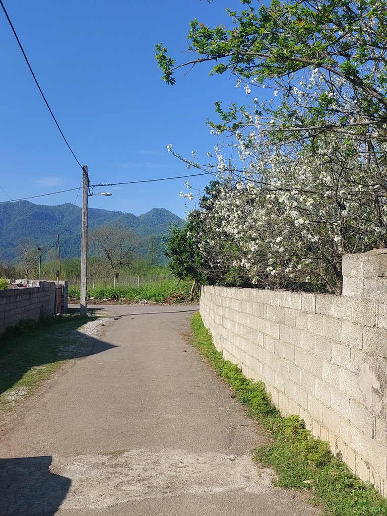 ویلا سه خوابه دوبلکس لوما