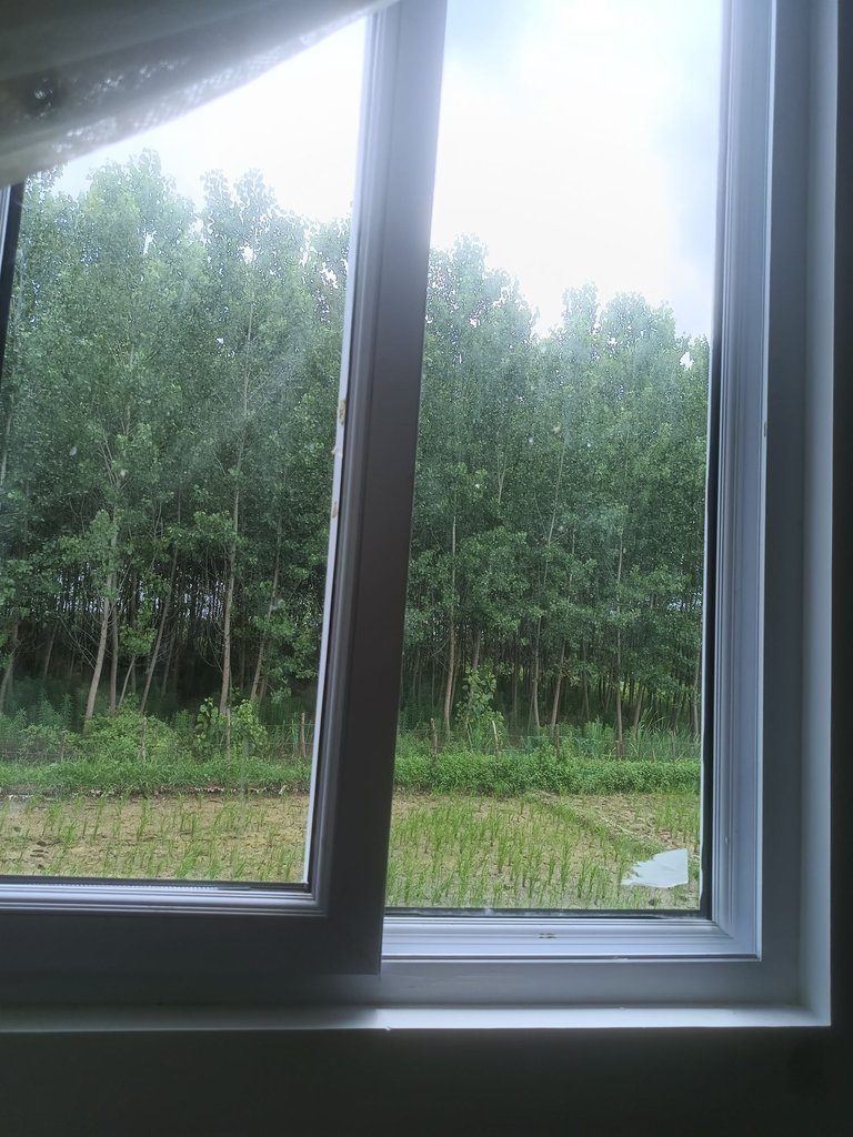 ویلا یک خوابه بلگور