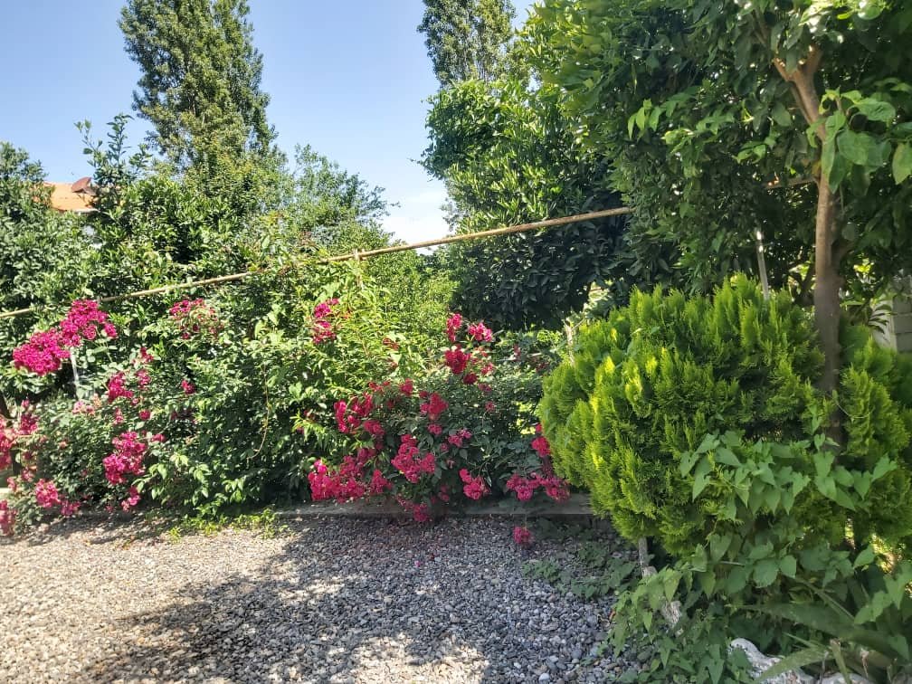 کلبه یک خوابه خادم جاده دوهزار