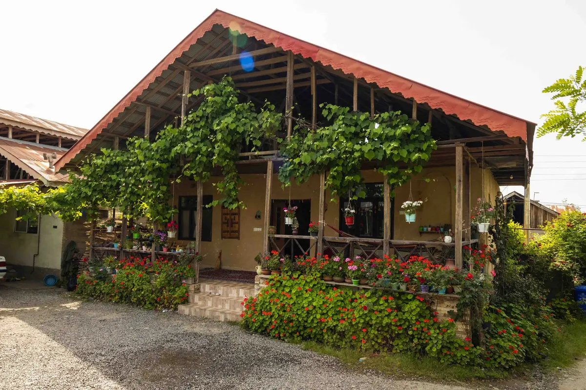 بوم گردی دیلمای - واحد تی شین