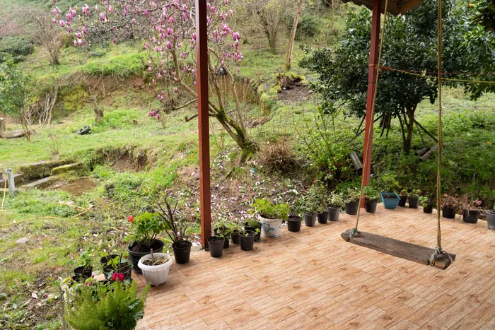 یک خوابه باران ۲