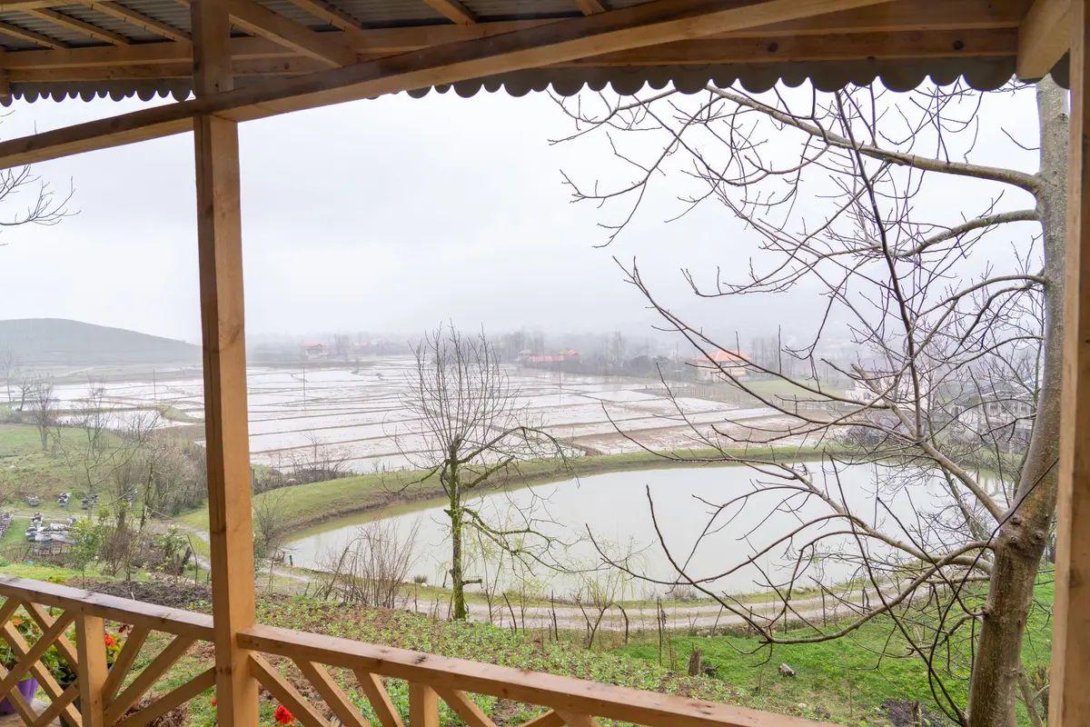 یک خوابه جنگلی سلطانی پور