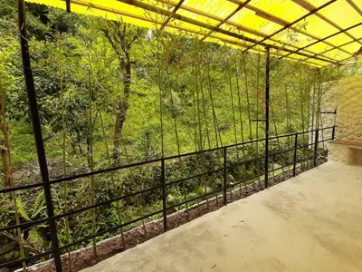 سوئیت دوخوابه کوه سبز 3