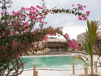 بومگردی گُفاره - واحد جالبوت