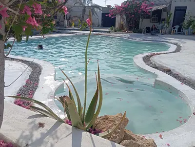 بومگردی گُفاره - واحد مُشتا