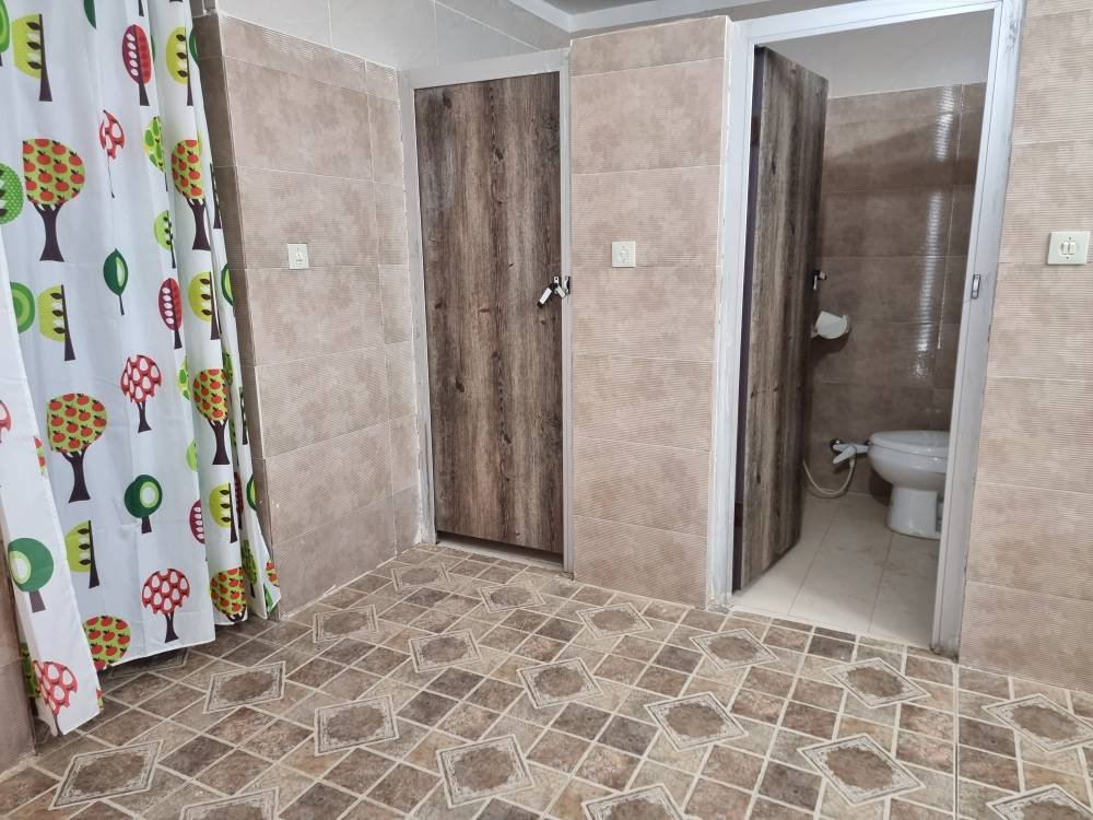 بومگردی شیرآشیان - شمس