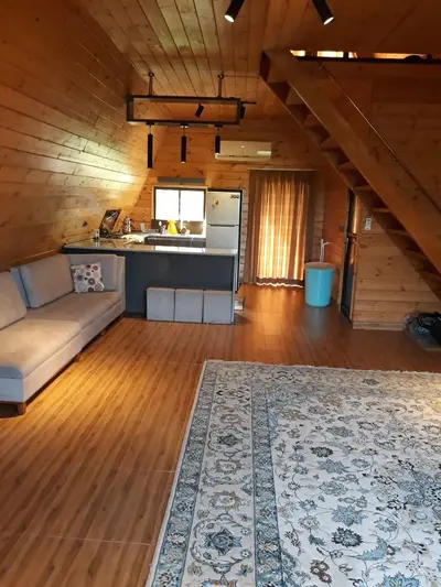 کلبه یک خوابه مسعود امیری 14