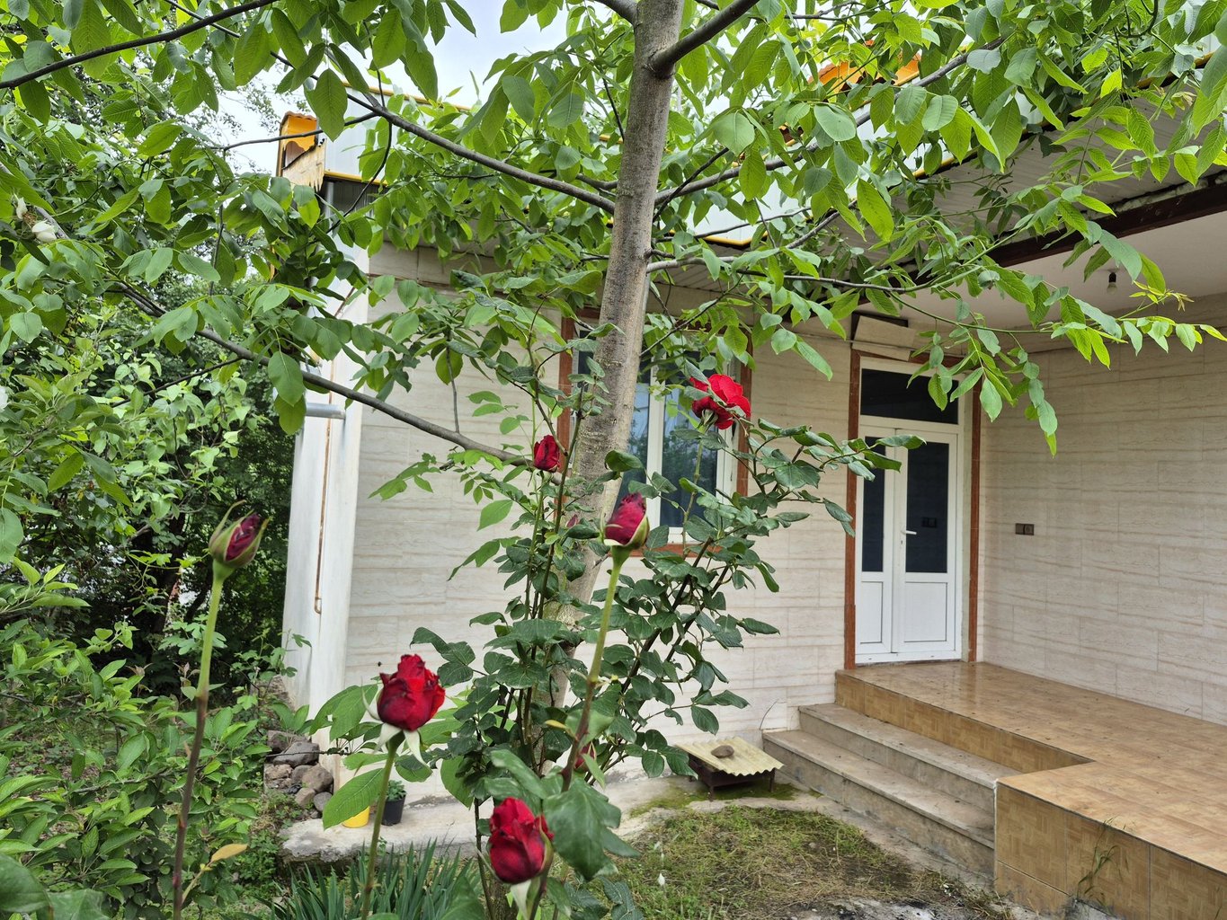 ویلا یک خوابه ویلان نشین