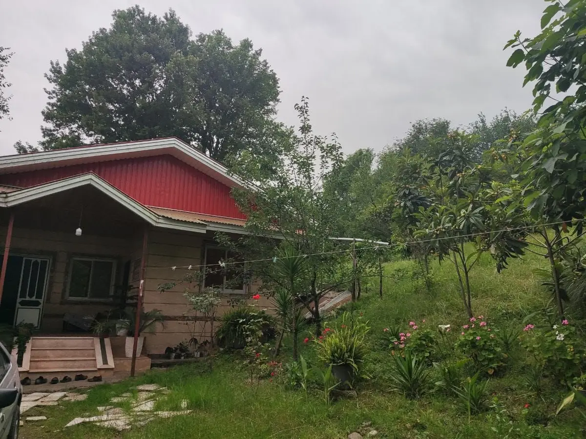 ویلا سه خوابه جنگلی میله سرا