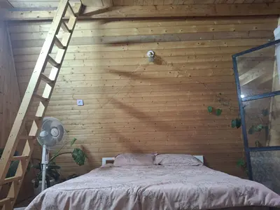 کلبه یک خوابه جنگلی ویهان 2