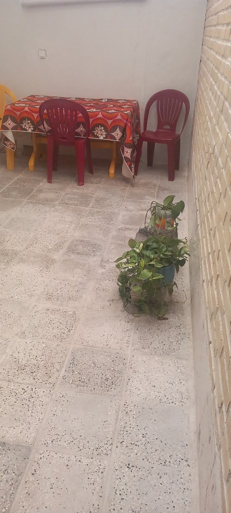 سوئیت فلت پتوس