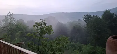 کلبه یک خوابه دیار 1