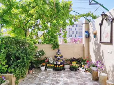 سوئیت فلت عابدی