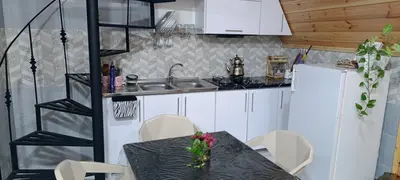 کلبه یک خوابه سوئیسی دوبلکس اسما