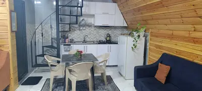 کلبه یک خوابه سوئیسی دوبلکس اسما