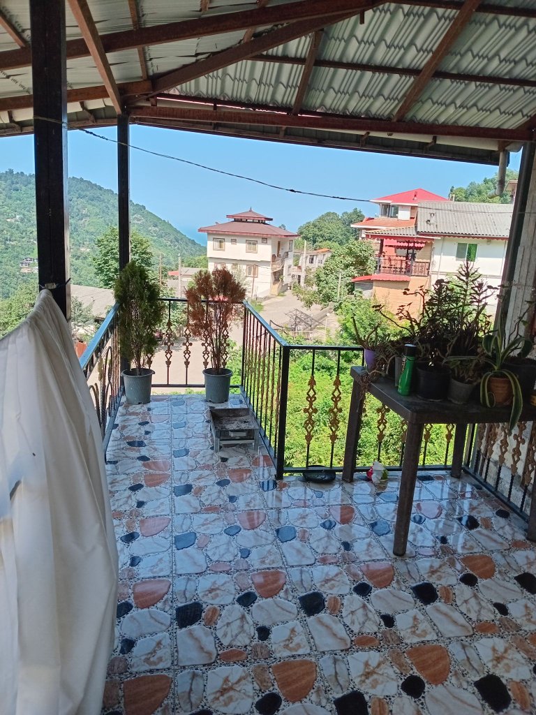 آپارتمان دوخوابه جنگلی محمد تابار