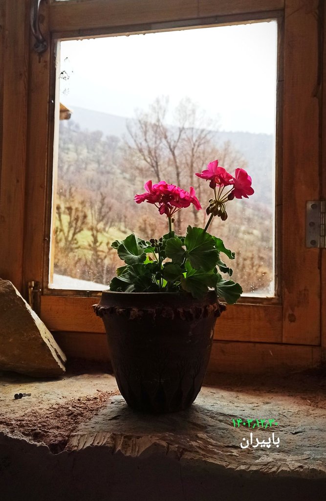 باپیران - واحد باشوور