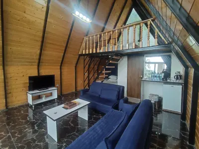 کلبه فلت سوئیسی دوبلکس سینا