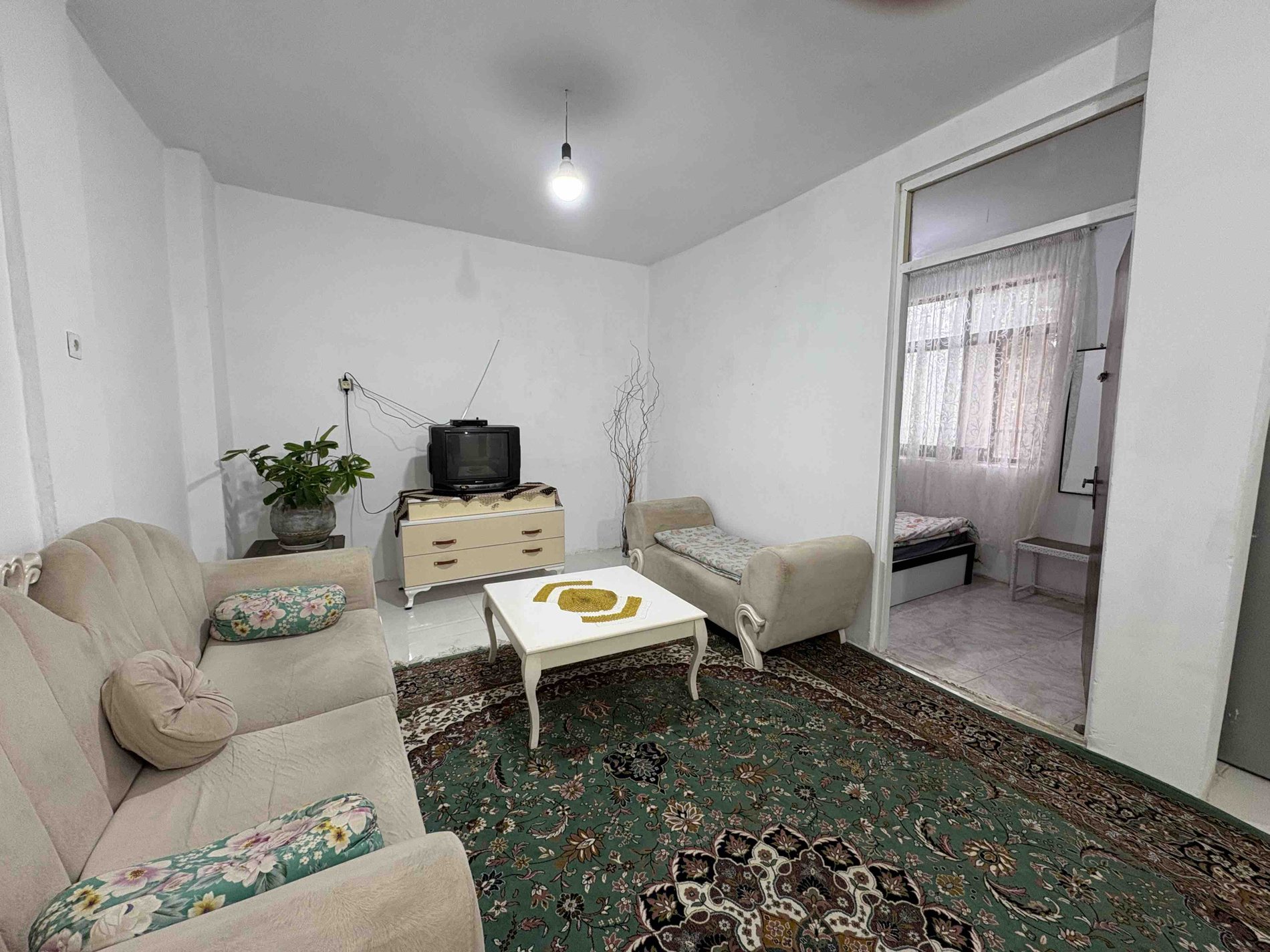 یک خوابه مارانتا