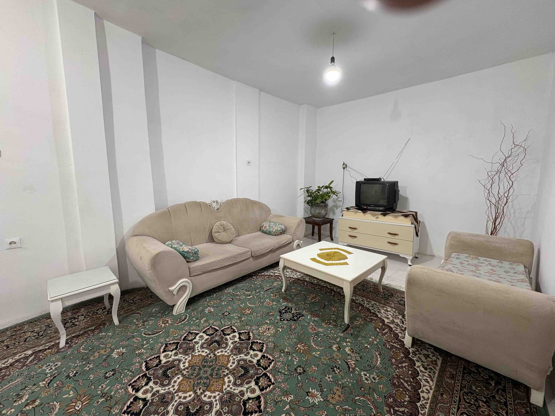 یک خوابه مارانتا