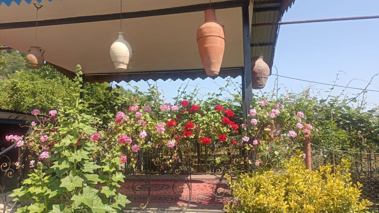 ویلا دوخوابه جنگلی بهرام شعبانی حویق