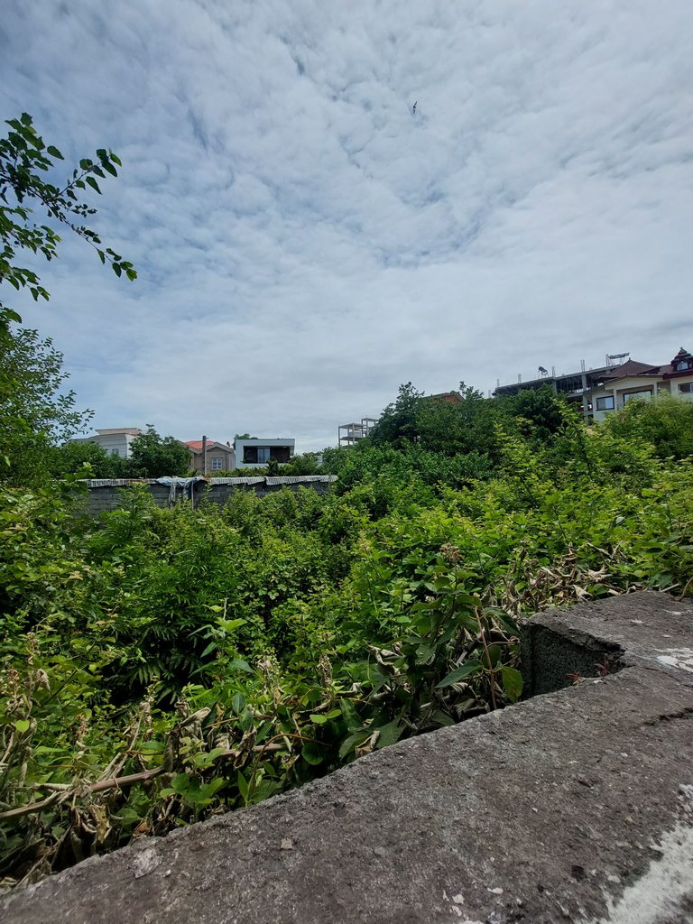 آپارتمان فلت ساحلی آرتمیس