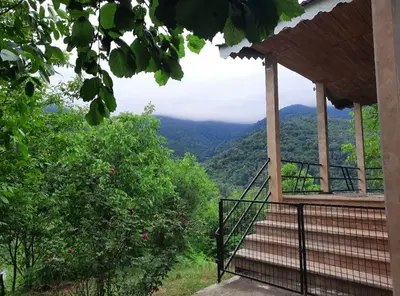 ویلا یک خوابه جنگلی زنبورچال