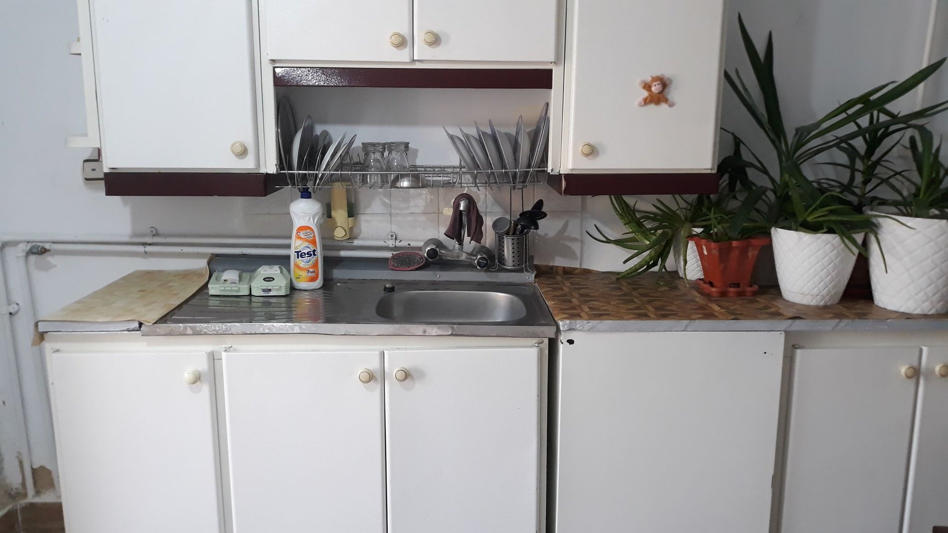 فلت گل لاله