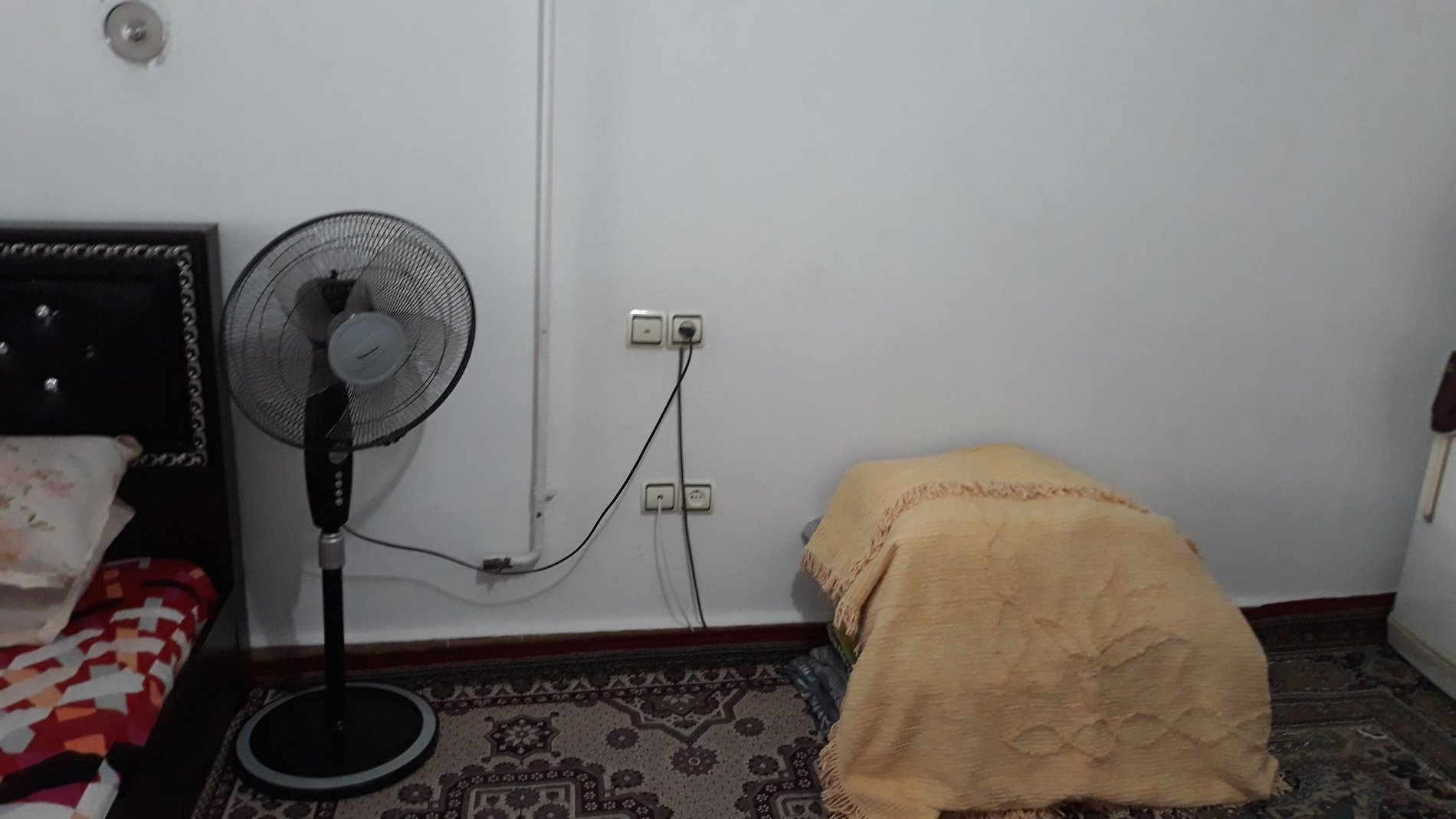 فلت گل لاله