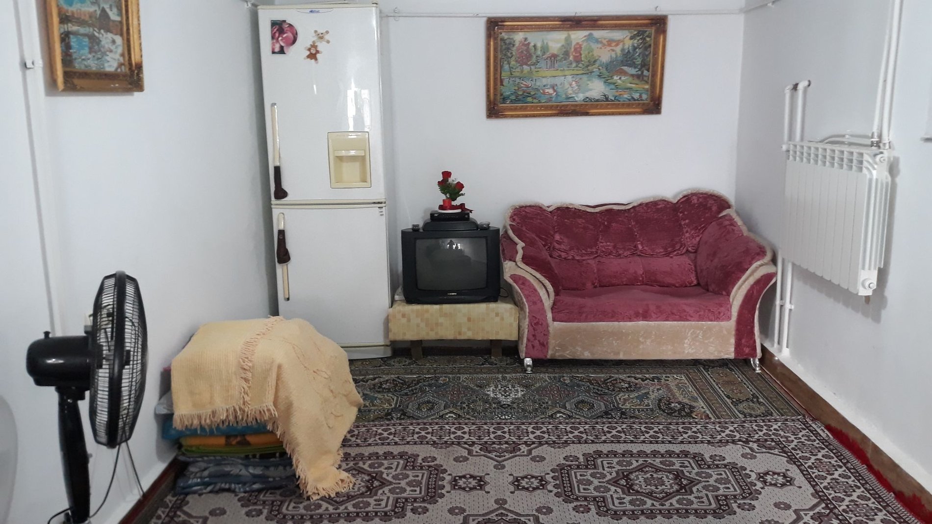 فلت گل لاله