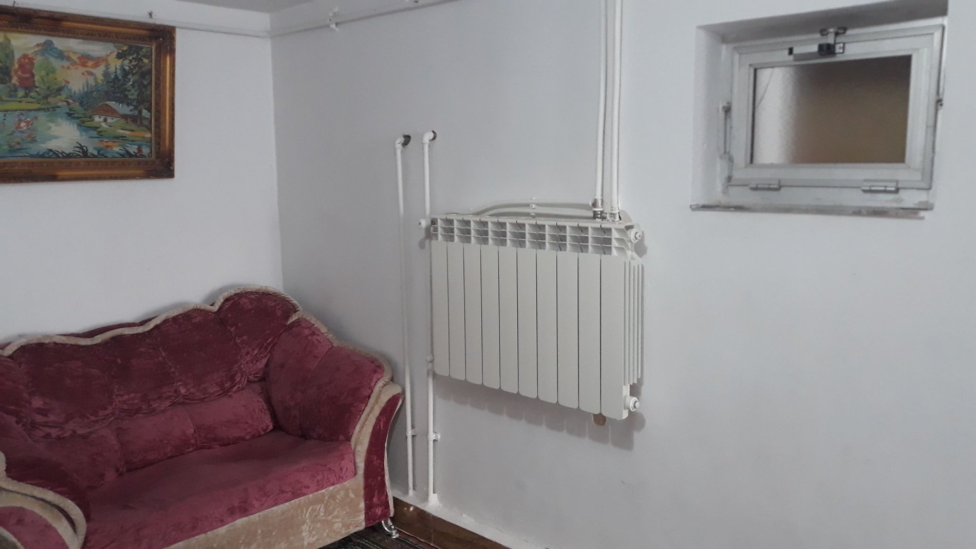 فلت گل لاله