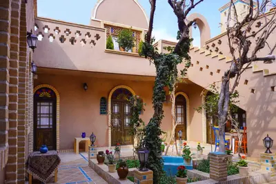 بومگردی شب نشین کویر واحد نگارستان