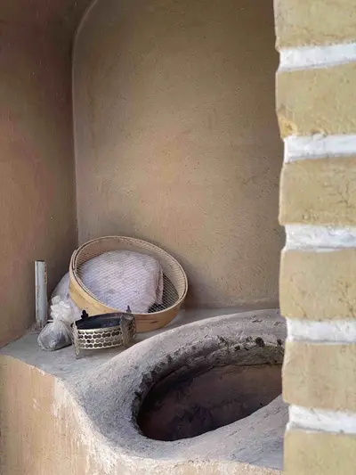 بومگردی شب نشین کویر - واحد بهارستان