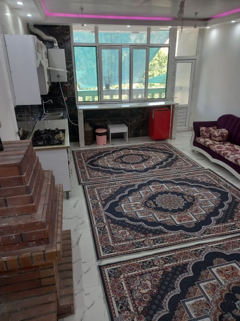 فلت شب های بیشه