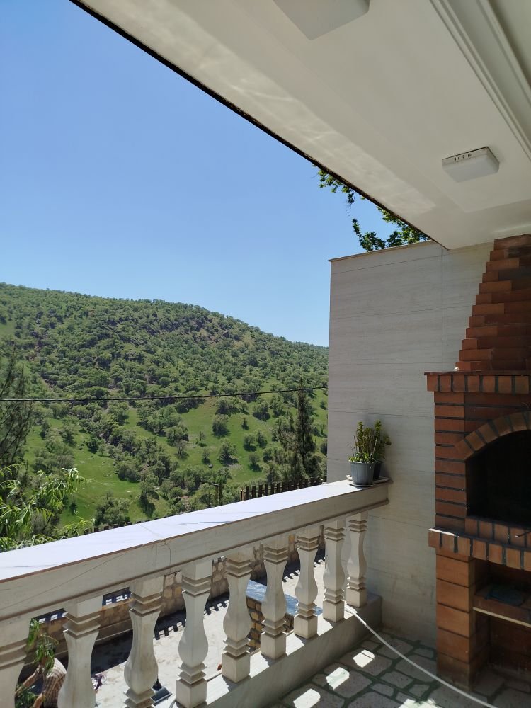 فلت شب های بیشه