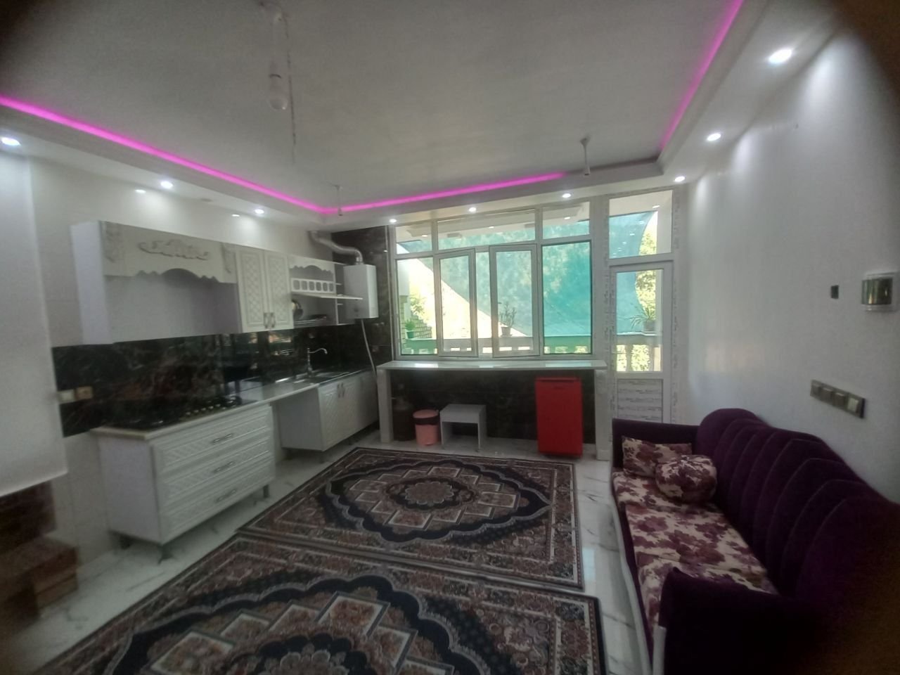 فلت شب های بیشه