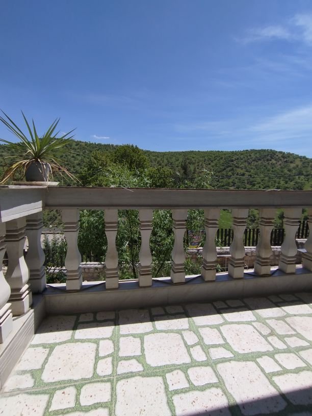 فلت شب های بیشه