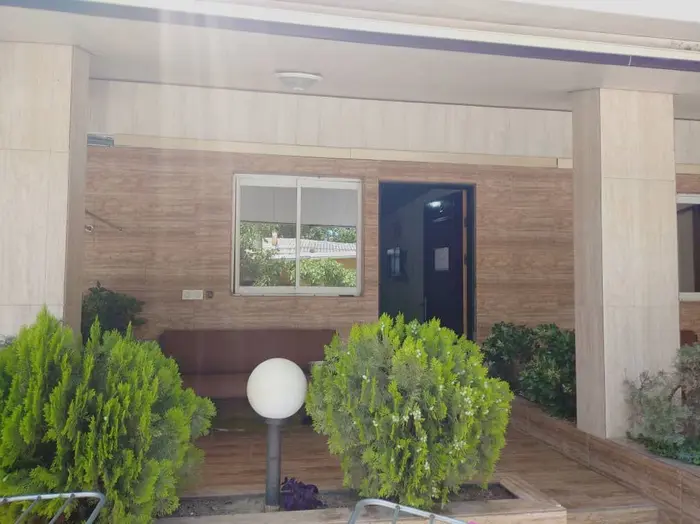 فلت پاپلی ۱۹