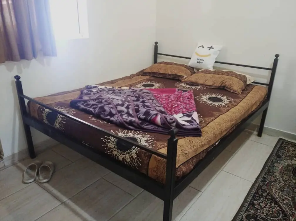 فلت پاپلی ۱۹