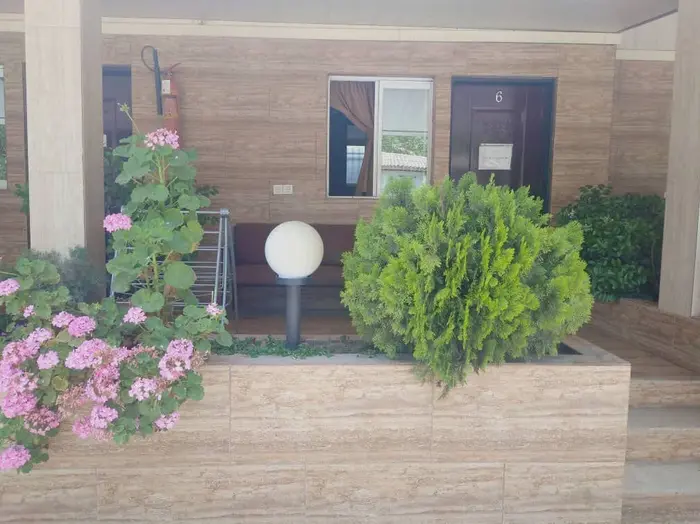 فلت پاپلی ۶