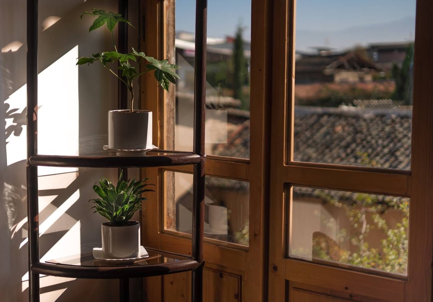 هاستل هاستل گرگان - پانسیون گردشگری - واحد آقایان 1