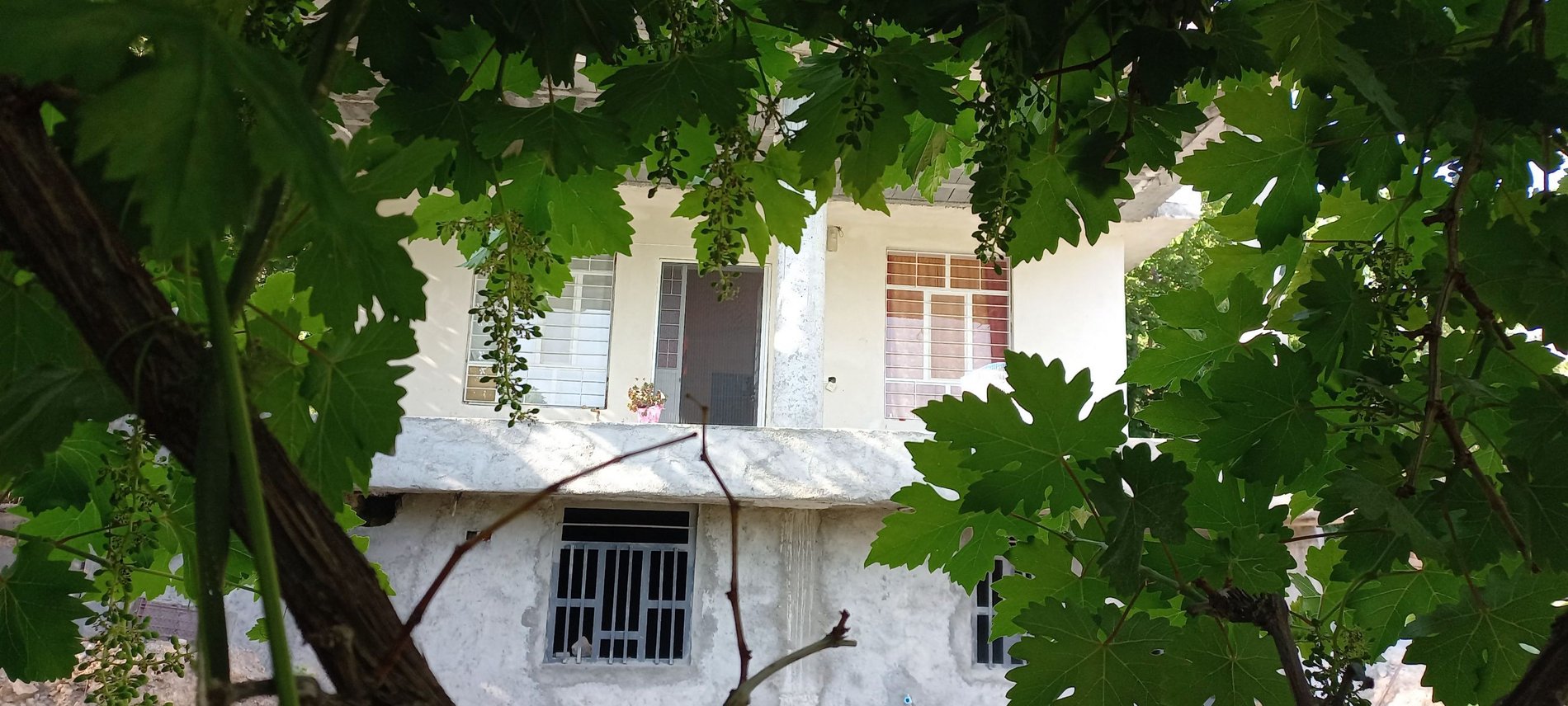 ویلا یک خوابه خانه باغ محمدحسینیان