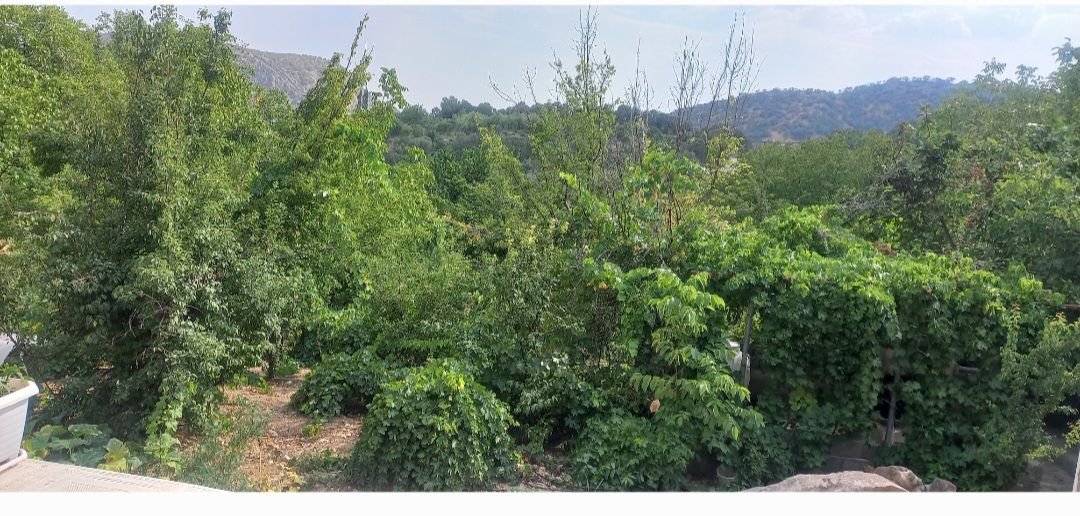 ویلا یک خوابه خانه باغ محمدحسینیان