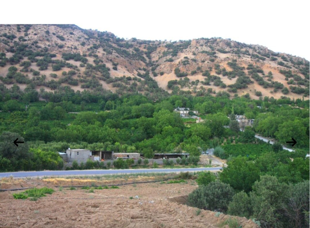 یک خوابه خانه باغ محمدحسینیان