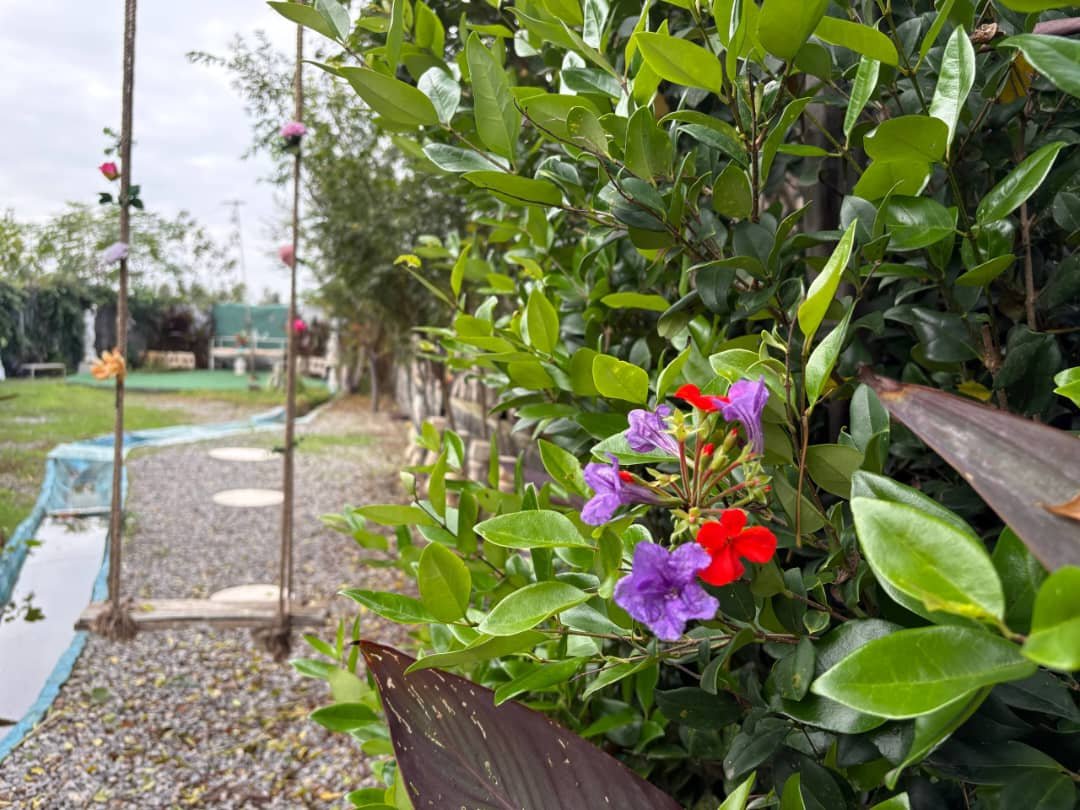 ویلا فلت می رکا