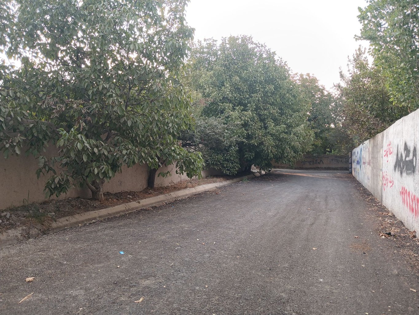 یک خوابه خاطره سبز 1