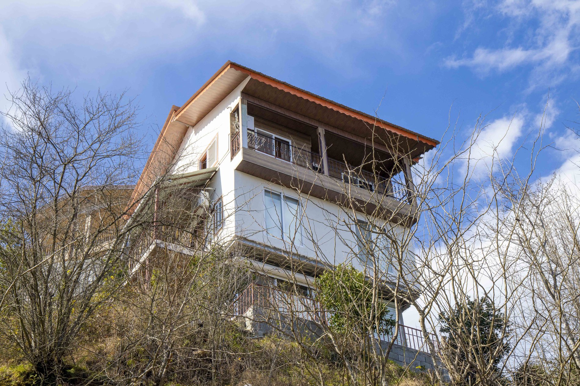 سوئیت یک خوابه جنگلی صادقی