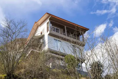 سوئیت یک خوابه جنگلی صادقی