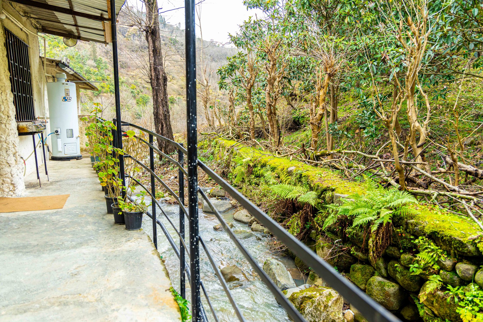 یک خوابه کوه سبز 1